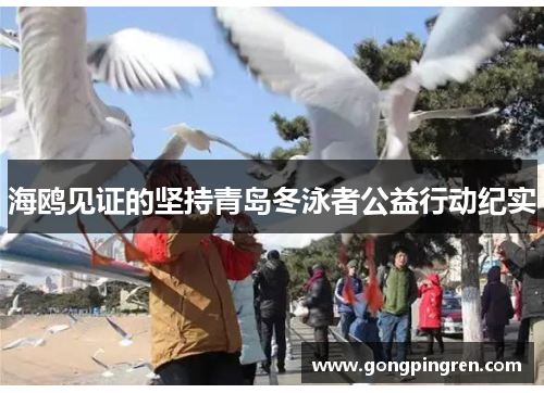 海鸥见证的坚持青岛冬泳者公益行动纪实