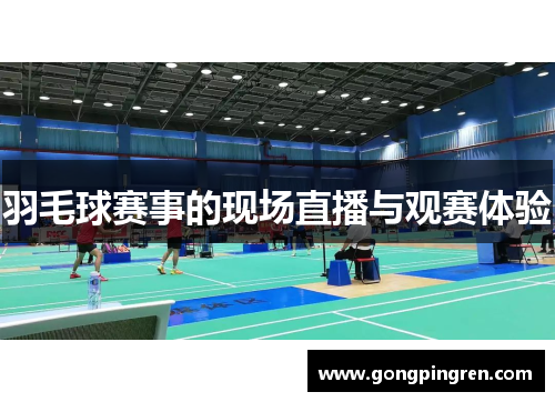 羽毛球赛事的现场直播与观赛体验