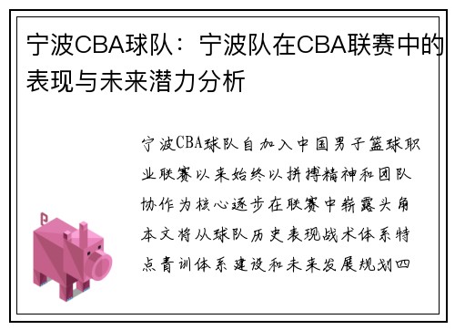 宁波CBA球队：宁波队在CBA联赛中的表现与未来潜力分析