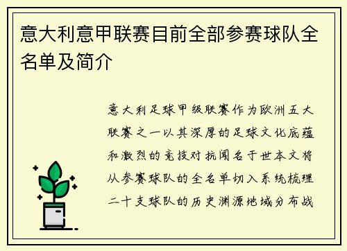 意大利意甲联赛目前全部参赛球队全名单及简介